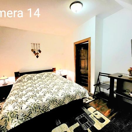 Vila Dariana Vatra Dornei Exteriör bild