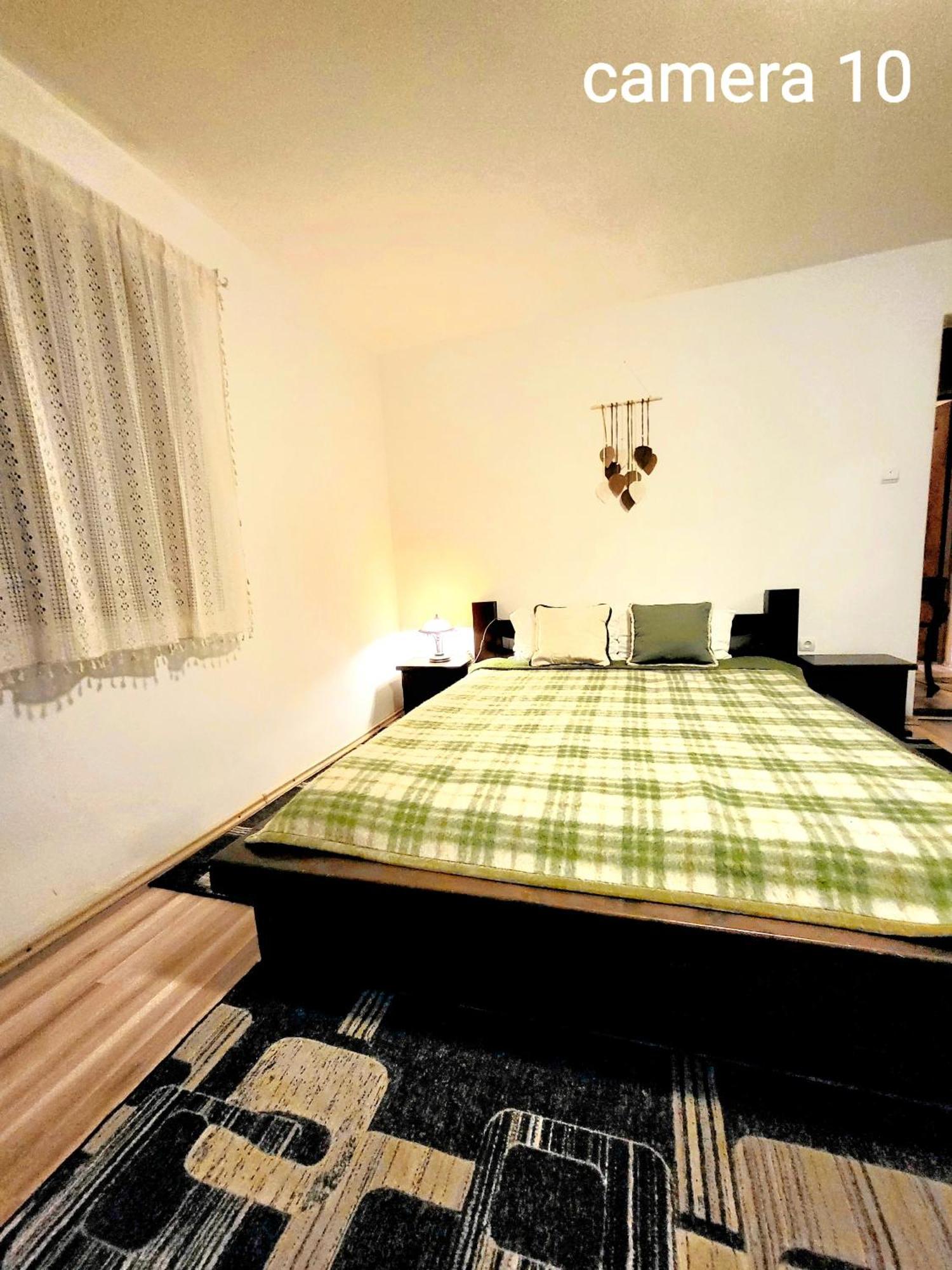 Vila Dariana Vatra Dornei Exteriör bild