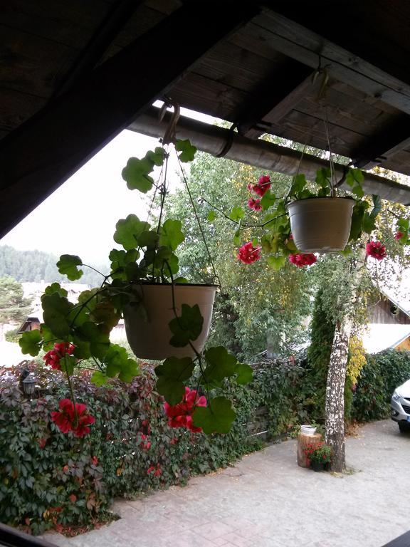 Vila Dariana Vatra Dornei Exteriör bild
