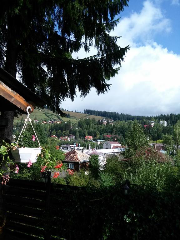 Vila Dariana Vatra Dornei Exteriör bild