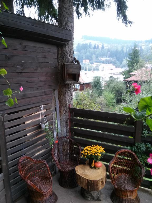 Vila Dariana Vatra Dornei Exteriör bild