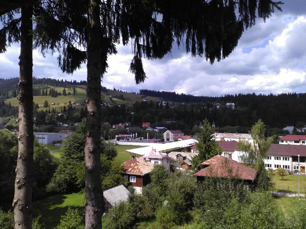Vila Dariana Vatra Dornei Exteriör bild