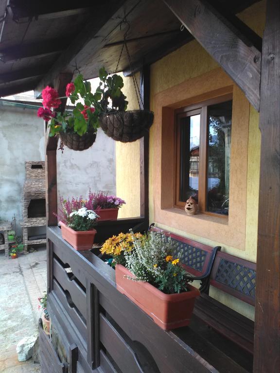 Vila Dariana Vatra Dornei Exteriör bild